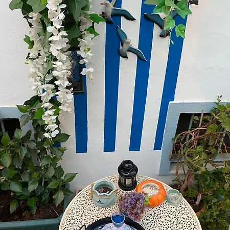 Guest house Mavi Hotel 2*