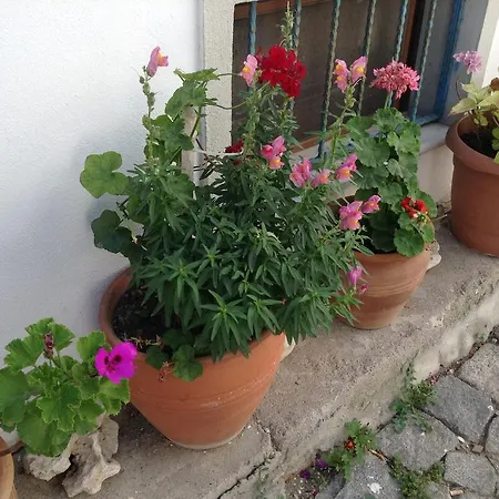 Guest house Mavi Hotel Bozcaada