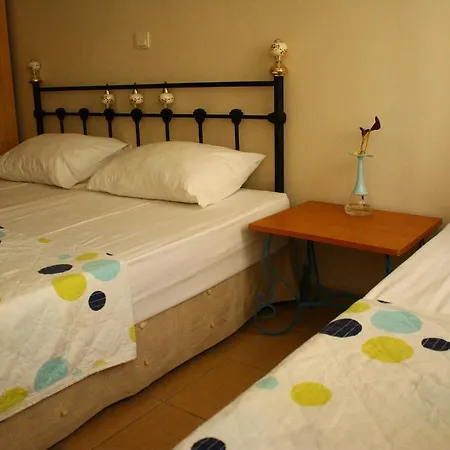 Guest house Mavi Hotel 2*